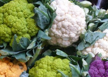 Quali alimenti sono vietati per i diverticoli?
