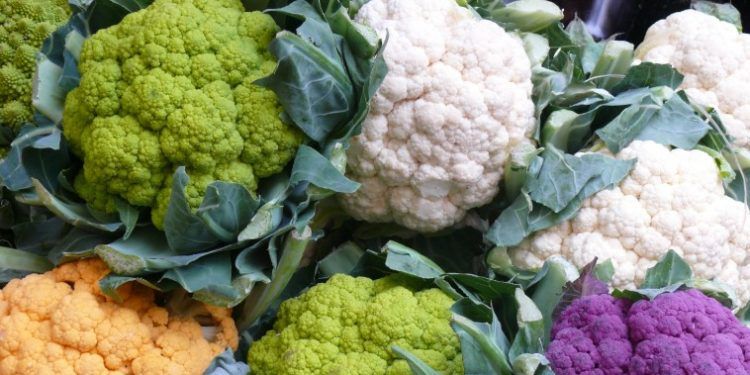 Quali alimenti sono vietati per i diverticoli?