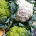 Quali alimenti sono vietati per i diverticoli?