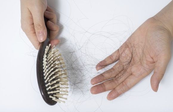 Come fermare l’alopecia?