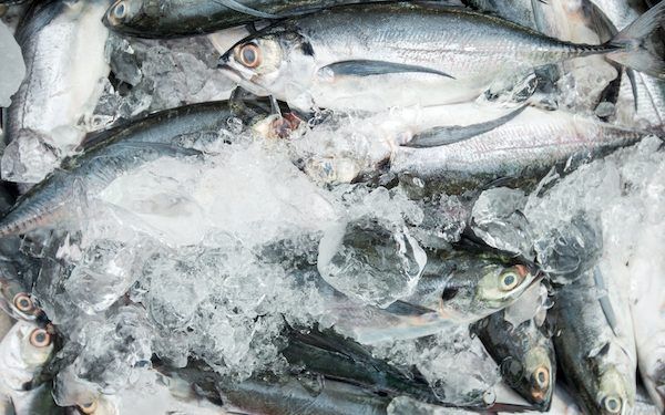 La dieta crudista: perché è così di moda? Fa bene?
