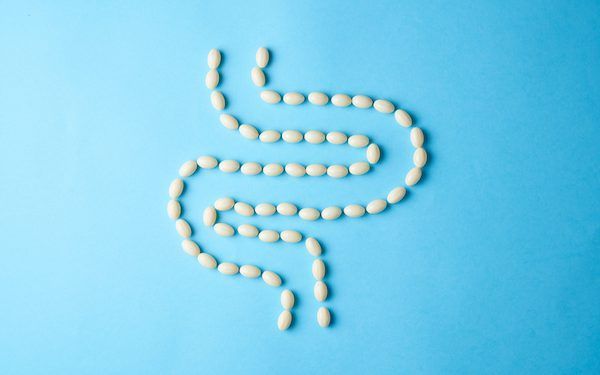 Probiotici: cosa sono e il loro ruolo nel benessere intestinale