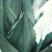 Quali sono i benefici del succo di aloe vera?