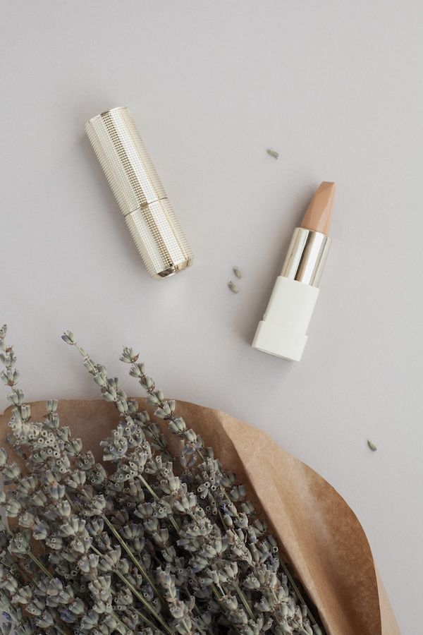 Decorazione piatta con rossetto marrone e pianta